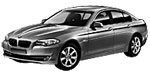 BMW F10 P0C1D Fault Code